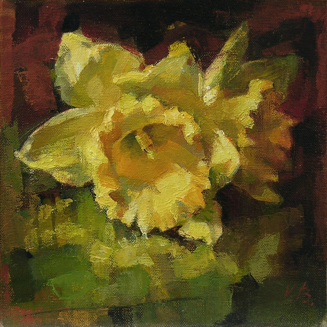 Daffodils