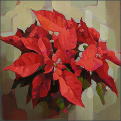 Poinsettia