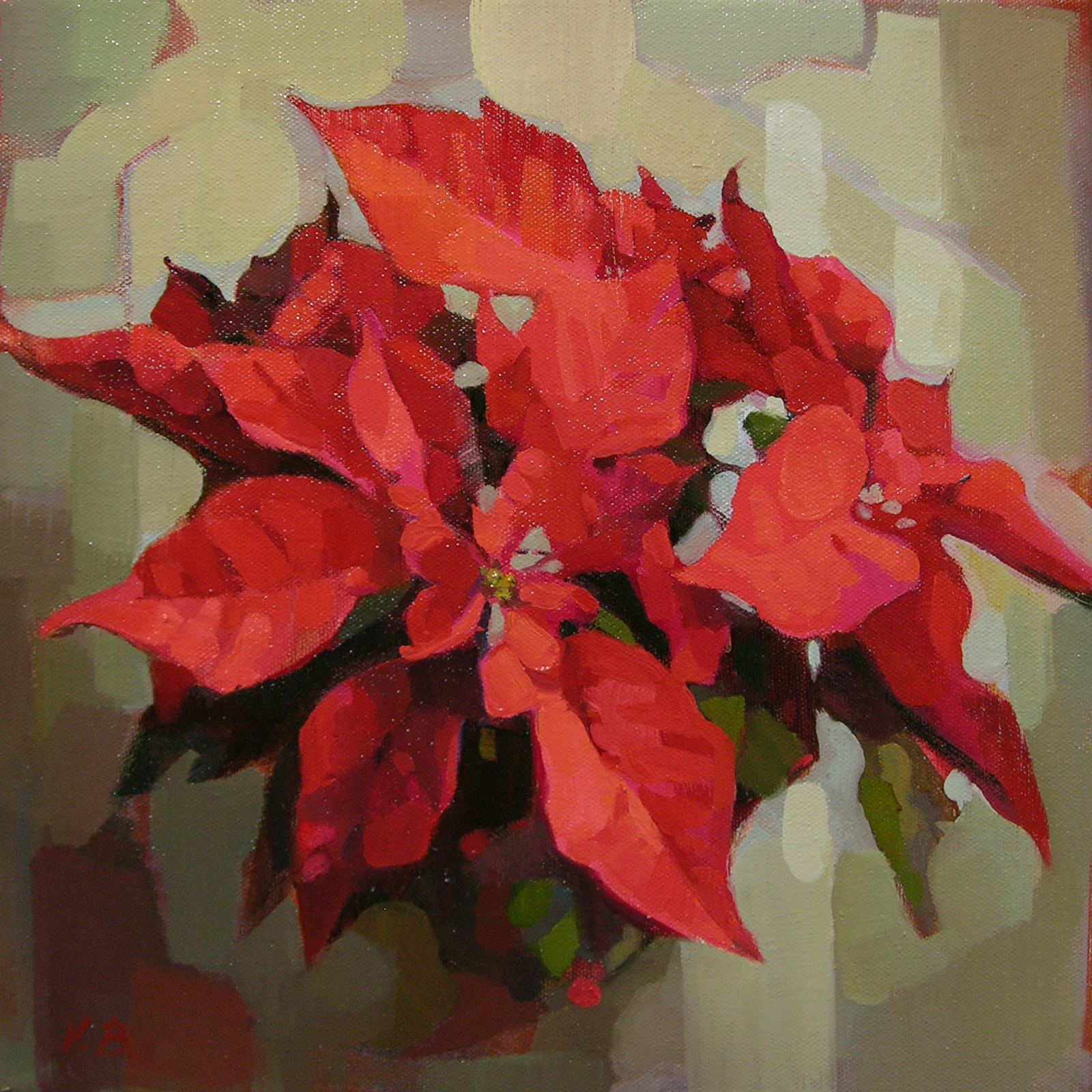 Poinsettia